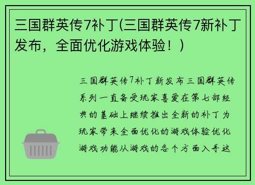 三国群英传7补丁(三国群英传7新补丁发布，全面优化游戏体验！)